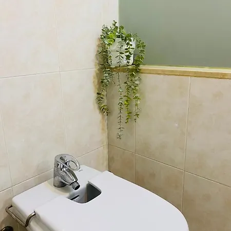 Appartement Malagueta Premium *